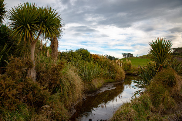 New research by Dr Richard Muirhead is debunking assumptions made about farming and water quality.