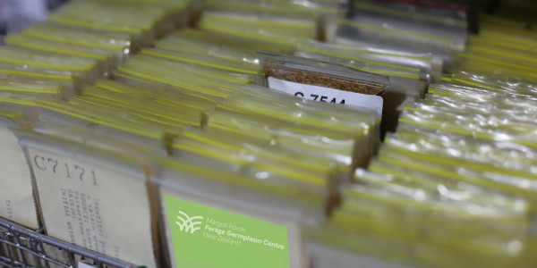 seed collection packets gene bank